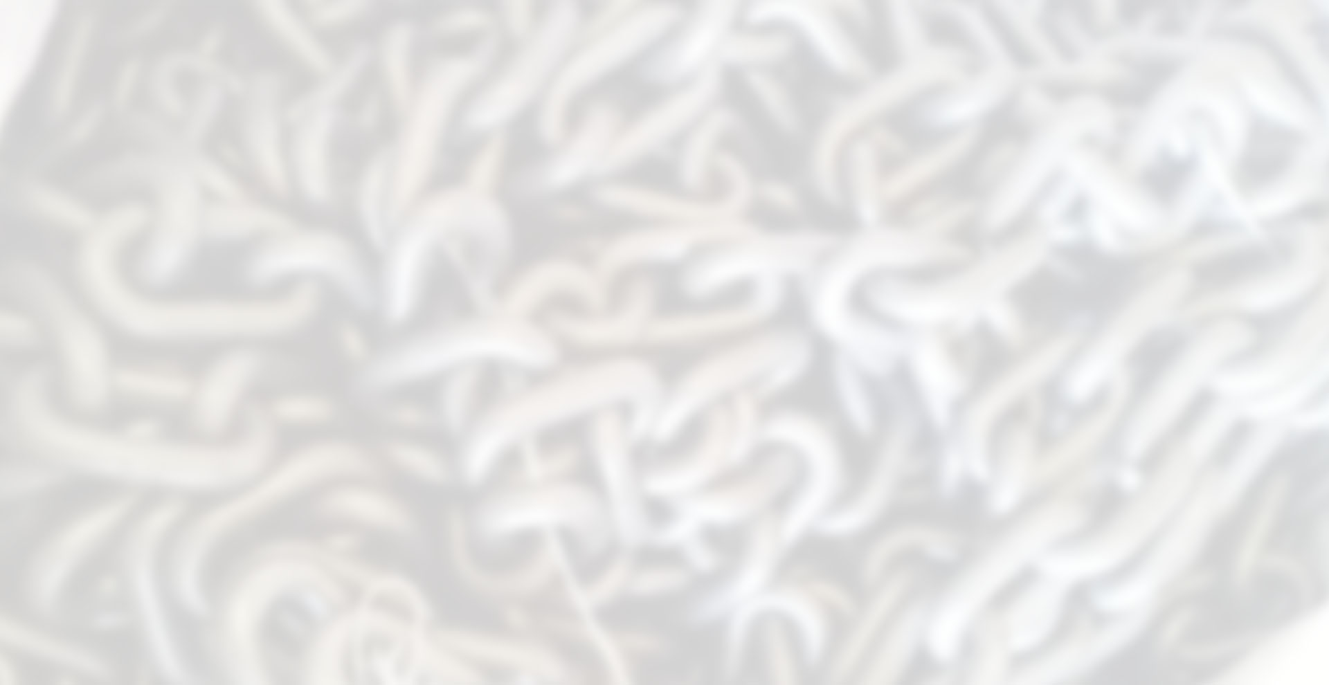 成都網絡布線